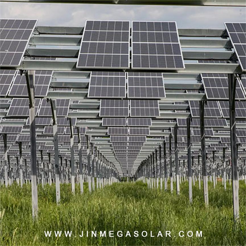 Destaque do produto | Sistema de montagem solar para terras agrícolas JinMega I