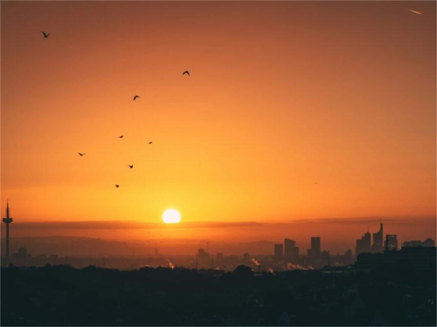 Alemanha adiciona 7,1 GW de nova capacidade solar no primeiro semestre de 2025.